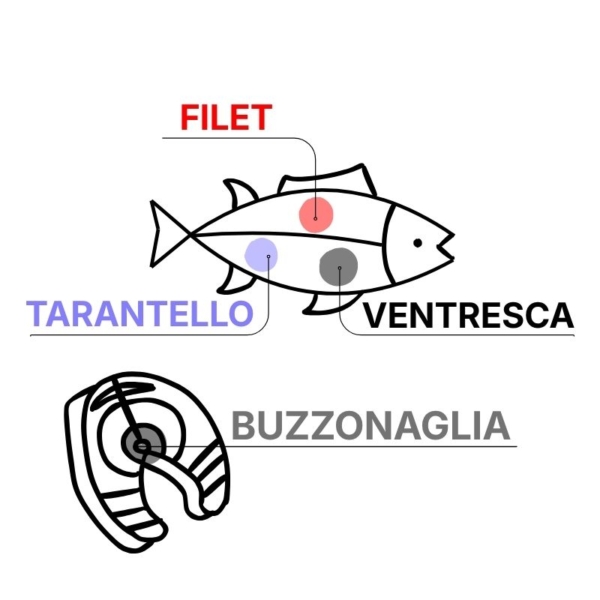 Wnętrze tuńczyka