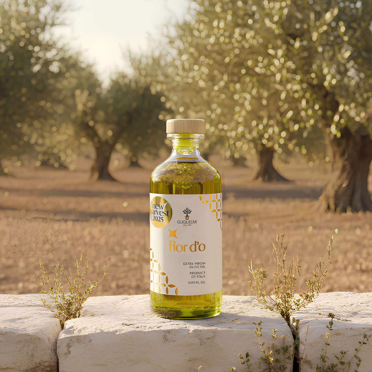 Oliwa novello